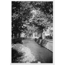 Εμφάνιση εικόνας Σακουλέβας